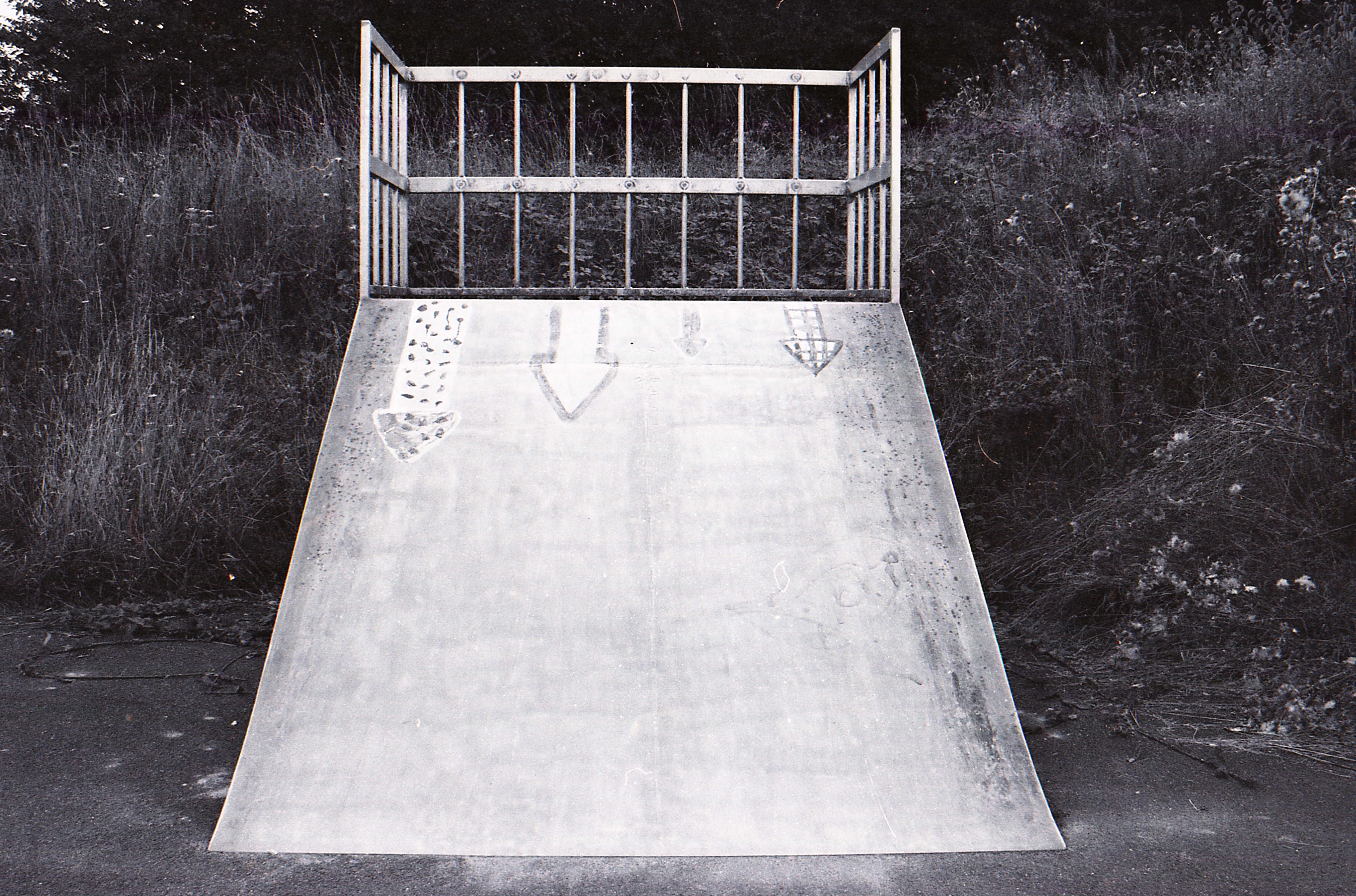 skate park flèches