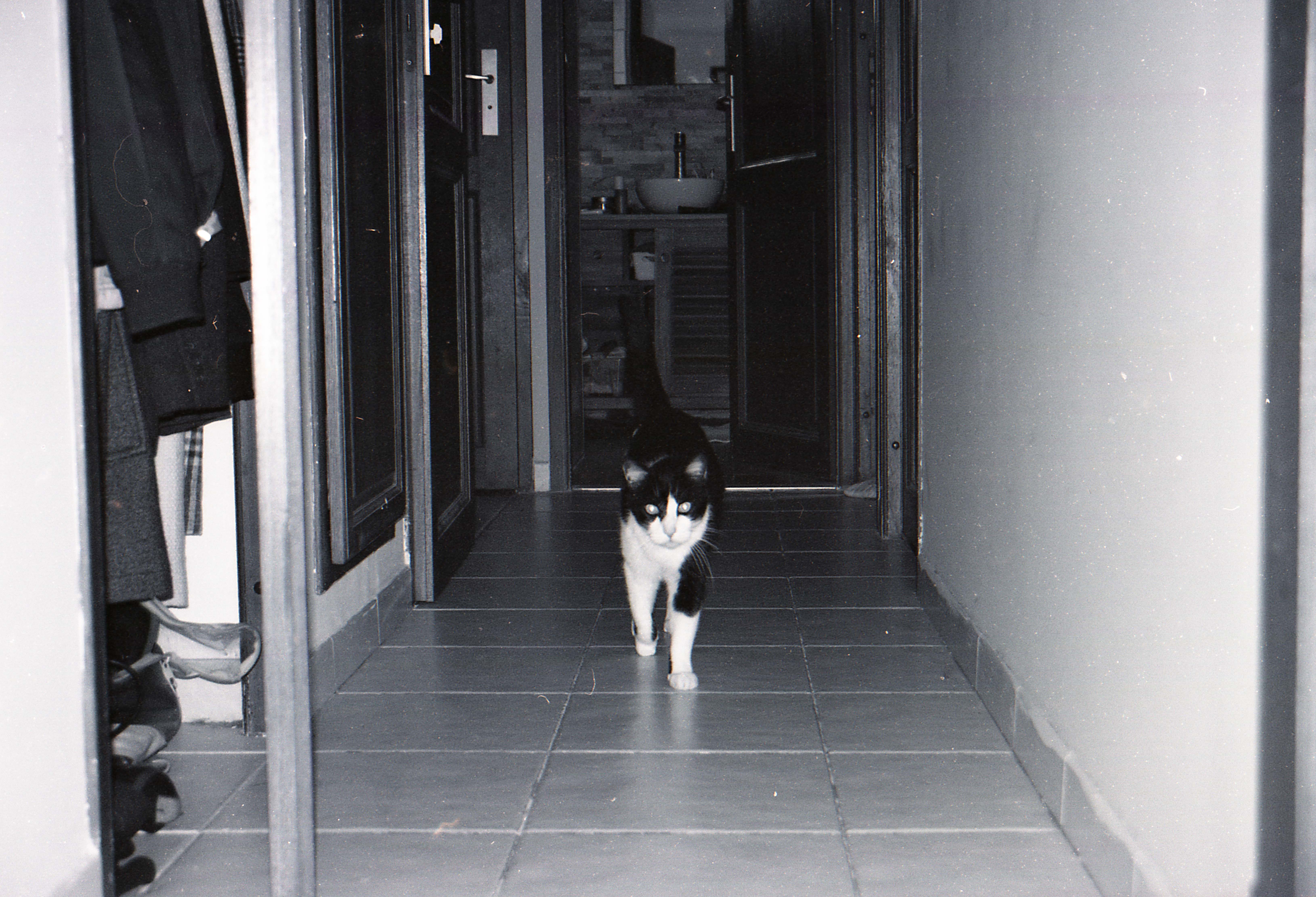 miguel dans le couloir